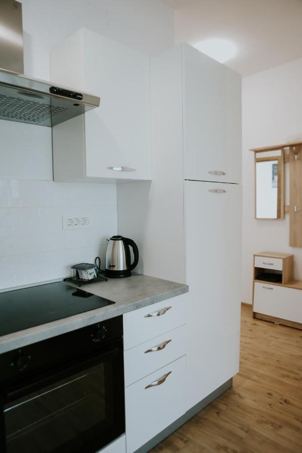 Nikola Apartment Gospic